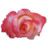 Rose China Icon